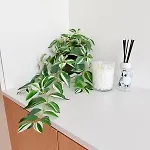 Apartman Residentie